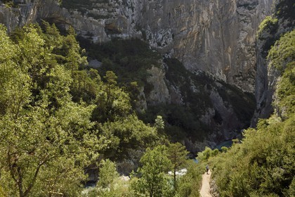 France, Alpes-de-Haute-Provence (04), Parc Naturel Régional du Verdon, les Gorges du Verdon, sentier d'accès au couloir Samson en contrebas du village de Rougon et du Point Sublime