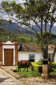 Brésil, Etat du Minas Gerais, Tirandentes (Route de l'or, Estrada Real)
