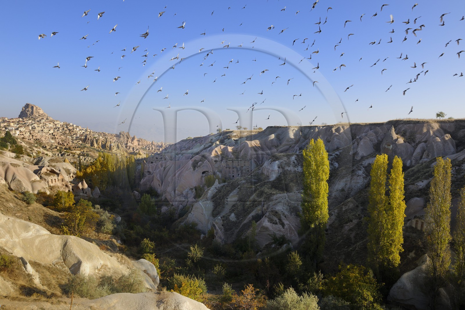 Turquie, Anatolie Centrale, province de Nevsehir, Cappadoce classée Patrimoine Mondial de l'UNESCO, le village troglodytique d'Uçhisar et la vallée des Pigeonniers