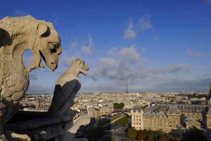 France, Paris (75), île de la Cité, la cathédrale Notre-Dame, les chimères observent la ville
