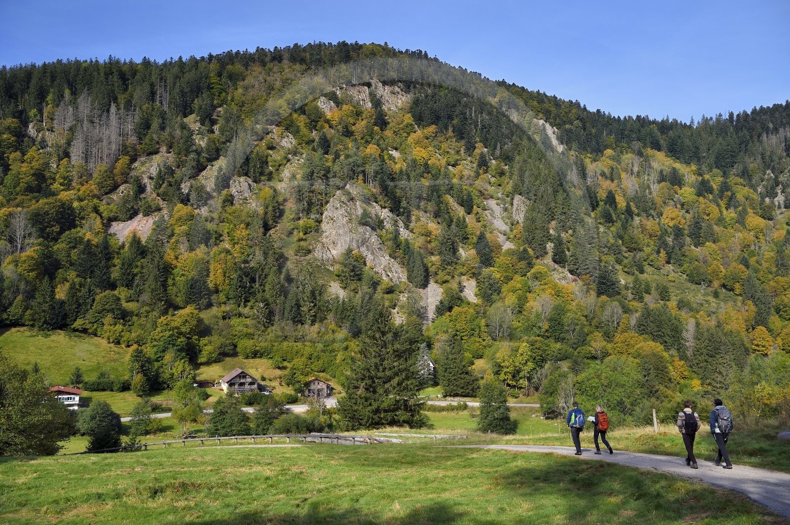 France, Vosges, Le Valtin, hike in the Valtin valley in the upper Meurthe valley