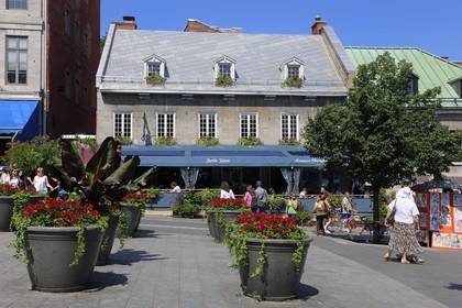 Canada, province de Québec, Montréal, quartier du Vieux-Montréal, quartier du Vieux-Port, place Jacques-Cartier