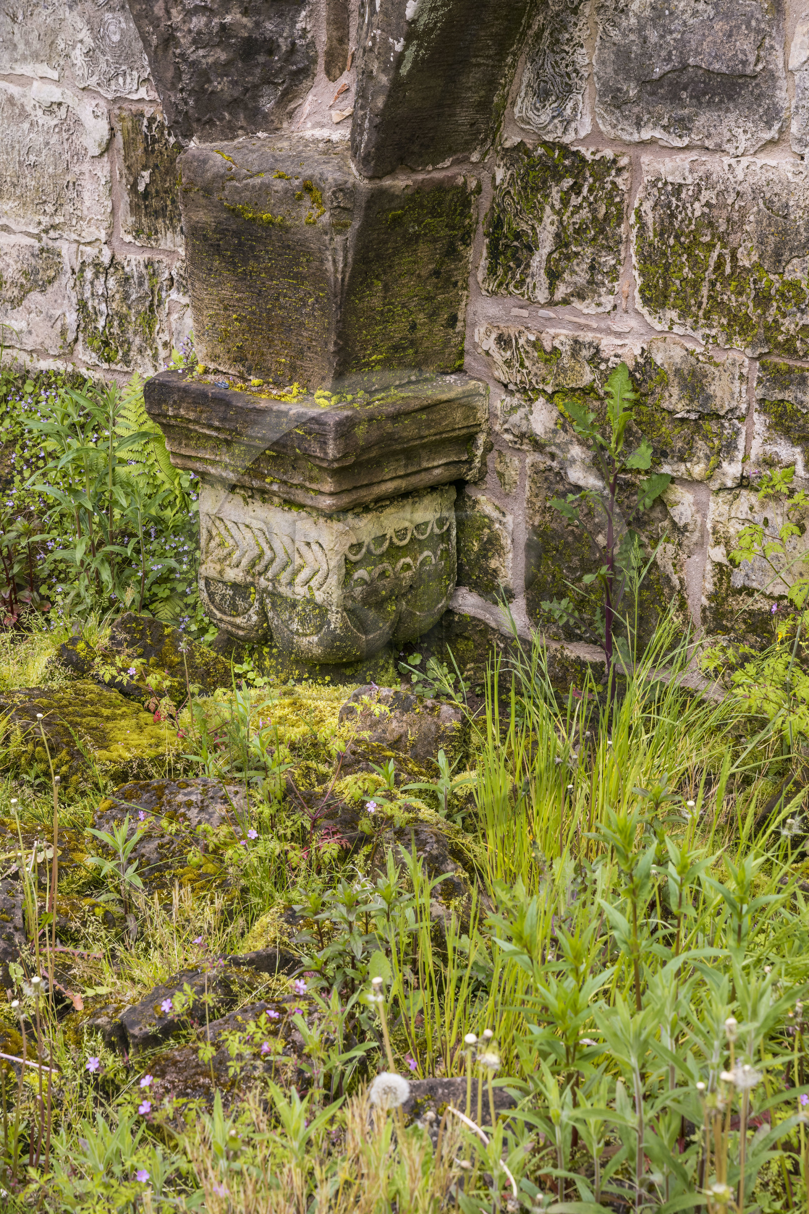 France, Bas-Rhin (67), Parc Naturel régional des Vosges du Nord, Eschbourg, ruines de l'abbaye bénédictine de Graufthal, vestiges d'une salle voutée du XIIème siècle
