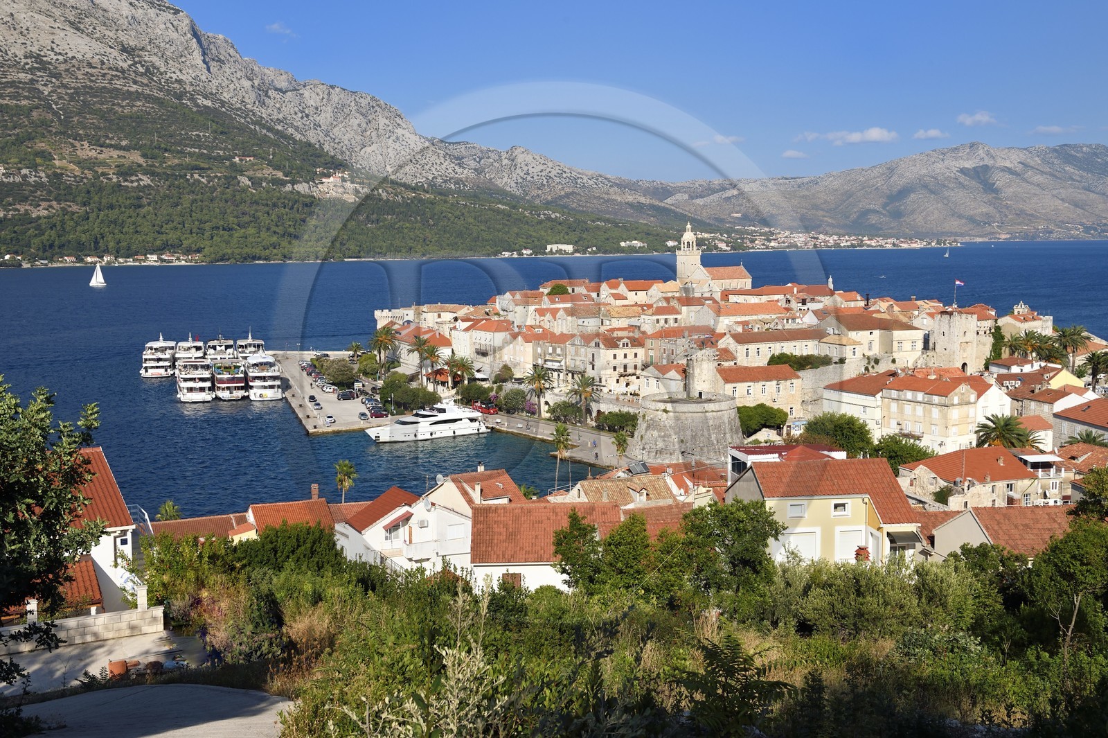 Croatie, Dalmatie, cote dalmate, Ile de Korcula, ville de Korcula