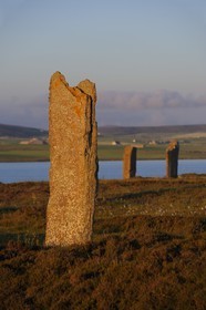 Royaume-Uni, Ecosse, Iles Orcades, Ile de Mainland, au bord du Loch of Stenness, cercle de pierres levées du Ring of Brodgar, classées Patrimoine Mondial de l' UNESCO