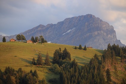 Suisse, canton de Vaud, Villars-sur-Ollon au Col de la Croix et le Grand Muveran