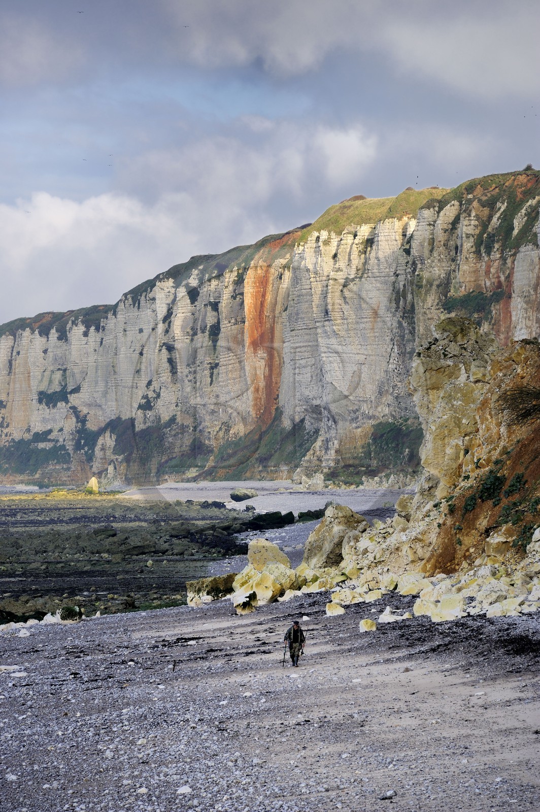 France, Seine-Maritime (76), Côte d'Albâtre, Yport, un pêcheur marchant sur la plage à marée basse au pied des falaises