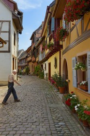 France, Haut-Rhin (68), Eguisheim, labellisé Les Plus Beaux Villages de France, maisons traditionnelles à pans de bois dans la rue du Rempart Sud