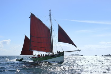 France, Côtes-d'Armor (22), Perros-Guirec, archipel et réserve ornithologique de Sept-Iles,  le voilier traditionnel Sant C'hireg (Saint Guirec) devant l'Ile Rouzic, colonie de fous de Bassan (Morus bassanus)