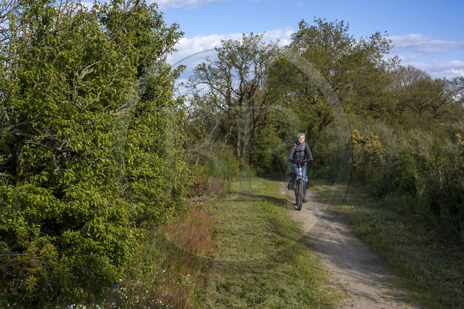 France, Vendée (85), Saint-Aubin-des-Ormeaux, sur la piste de la véloroute Vendée Vélo Tour