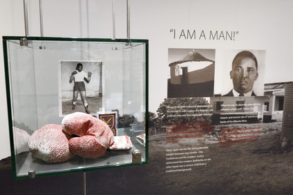 Afrique du Sud, province de Gauteng, Johannesburg, Musée de l'apartheid, exposition sur Nelson Mandela, ses gants de boxe