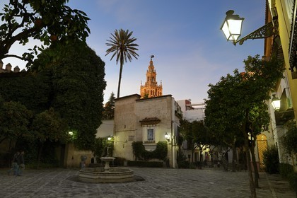 Spain, Andalusia, Seville, Santa Cruz district, plaza Alianza and the Giralda in the background