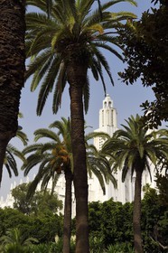 Morocco, Casablanca, Sacré-Coeur church, architect Paul Tournon (built between 1930 and 1953)