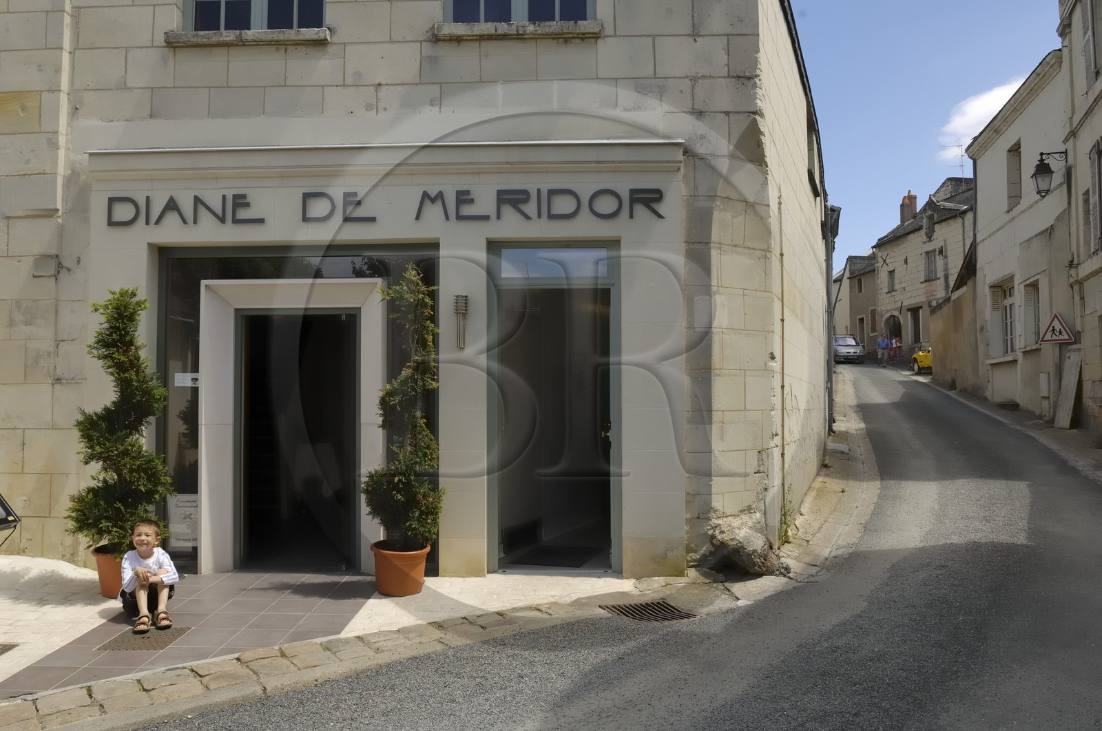 France, Maine et Loire, Montsoreau, restaurant Diane de Méridor