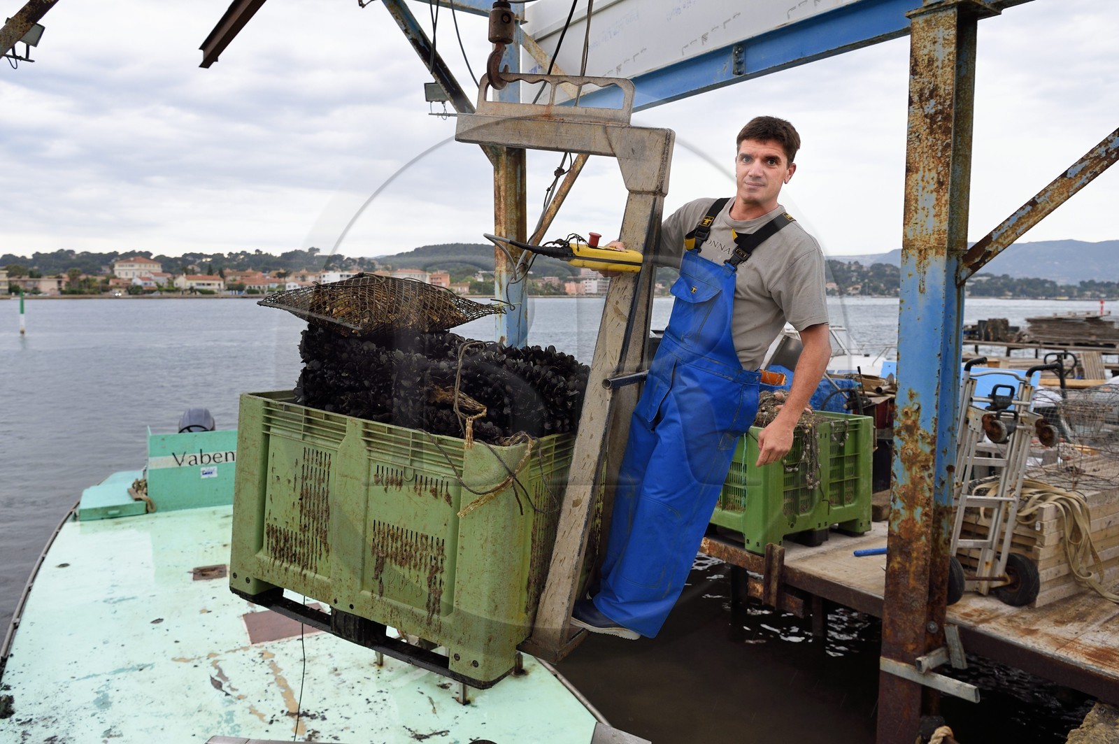 France, Var (83), La Seyne-sur-Mer, l'ostréiculteur Jean Christophe Giol dans la baie de Tamaris