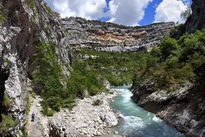 France, Alpes-de-Haute-Provence (04), Parc Naturel Régional du Verdon, Rougon, Grand Canyon du Verdon, la rivière du Verdon vers le saut du Bau au bord du couloir Samson et le sentier Blanc-Martel sur le GR4