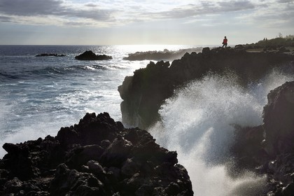 France, Reunion island (French overseas department), L'Etang Salé les Bains, the coast between Le Gouffre and the Etang du Gol (Gol Pond), black basaltic rocks of volcanic origin tormented by the ocean
