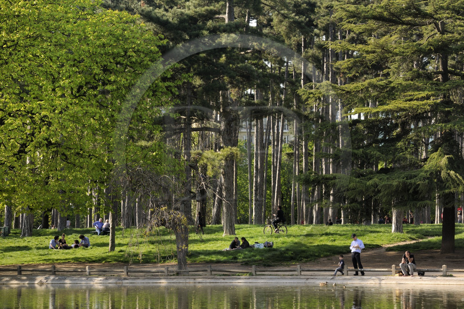 France, Paris, Bois de Boulogne, mare (pond) Saint James