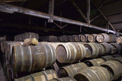 France, Charente (16), Cognac, tonneaux stockés dansles chais de vieillissement de la Maison de cognac Hennessy