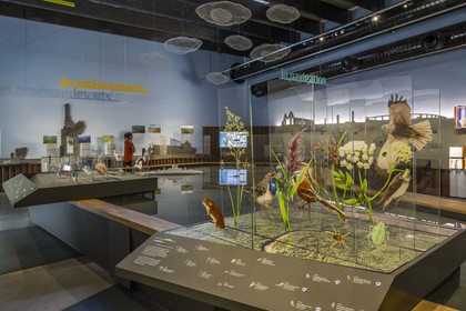 France, Loire-Atlantique (44), Cordemais, le centre de découverte Terre d’Estuaire