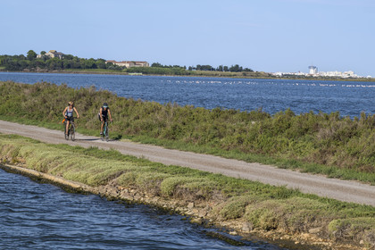 France, Hérault (34), Villeneuve-lès-Maguelone (Palavas-Les-Flots), cyclistes sur le chemin de halage du canal du Rhône à Sète, la cathédrale Saint-Pierre-et-Saint-Paul de Maguelone et Palavas-Les-Flots en arrière plan