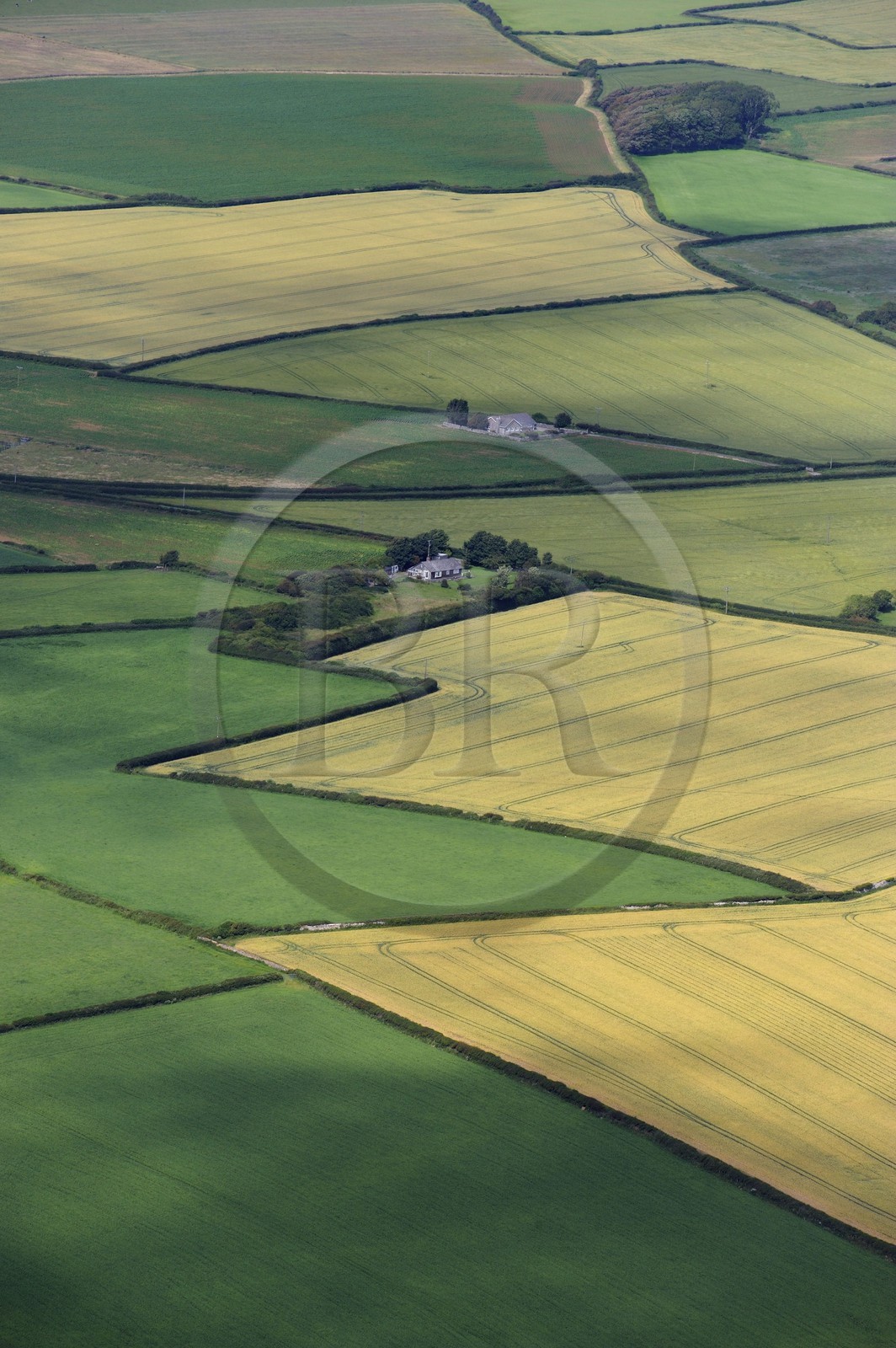 United Kingdom, England, Wales, fields near Llantwit Major (aerial view)