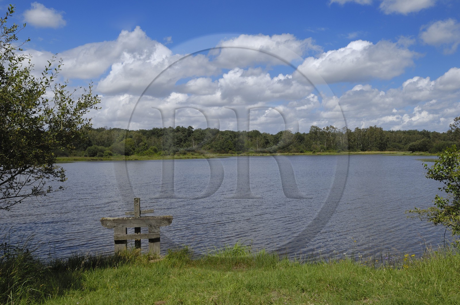 France, Loire et Cher, étang dans le domaine du château de Chambord