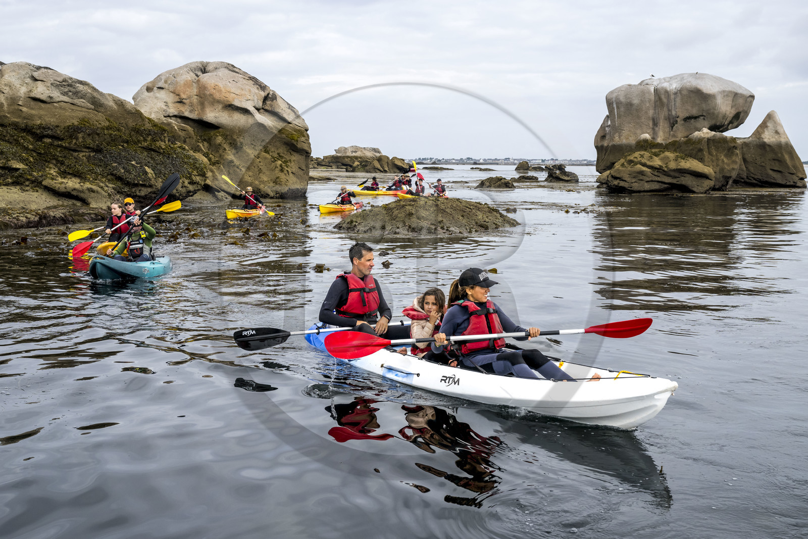 France, Finistère (29), Penmarch, archipel des Étocs, sortie en kayak du Centre nautique du Guilvinec à la découverte du phoque gris (halichoerus grypus) dans les rochers à marée basse