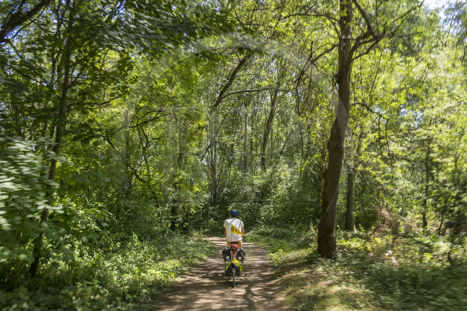 France, Maine-et-Loire, Loire valley listed as World Heritage by UNESCO, Dampierre to the east of Saumur, cycling along the banks of the Loire on the Loire à Vélo cycle path, bike with a trailer carrying camping equipment