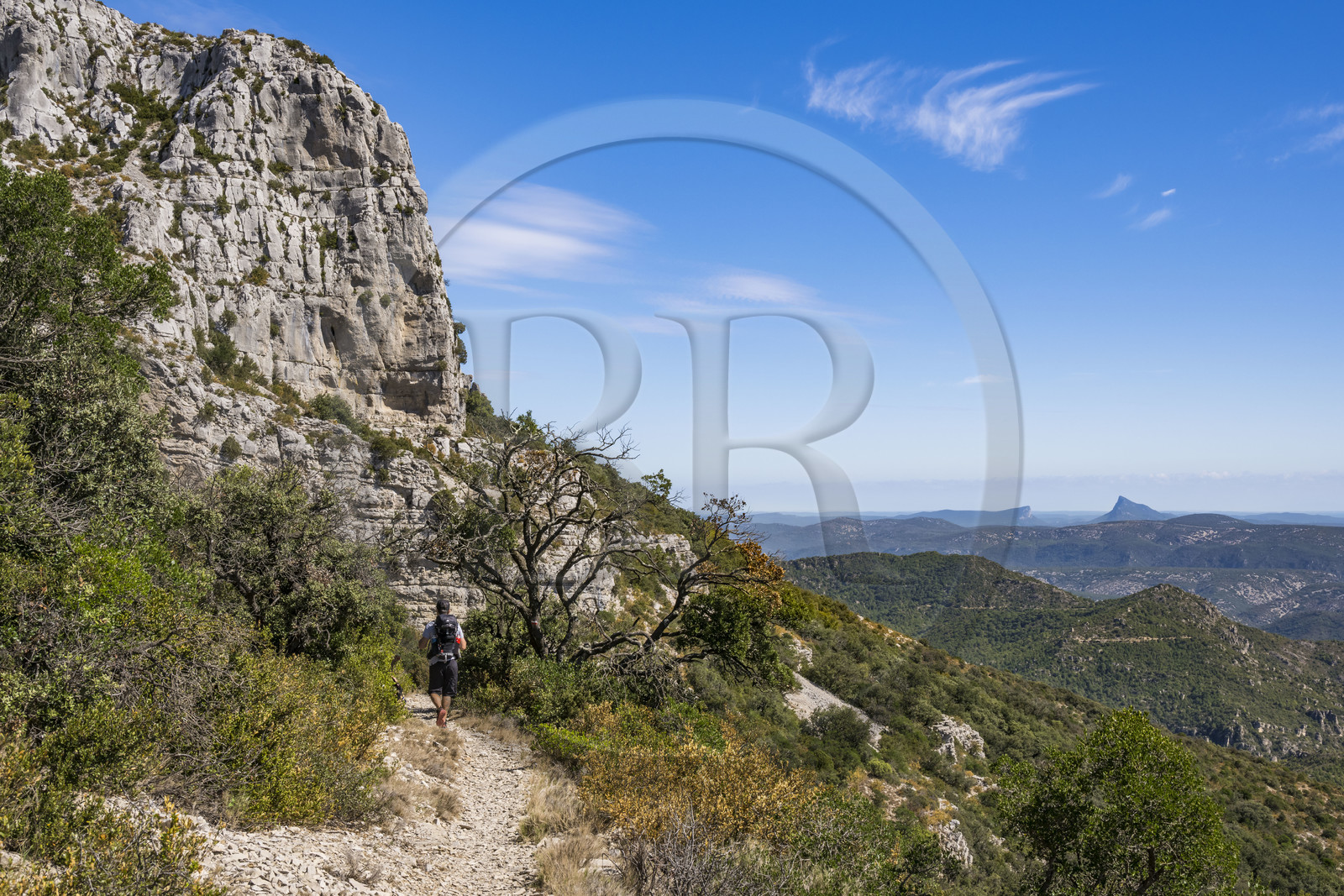 France, Hérault (34), les Causses et les Cévennes, paysage culturel de l'agro-pastoralisme méditerranéen inscrit au Patrimoine Mondial de l'UNESCO, Montpeyroux, randonneurs sur le sentier GR 74 du Mont Saint Baudille en direction de Saint-Guilhem-le-Désert, le Pic Saint-Loup faisant face à l'Hortus en arrière plan