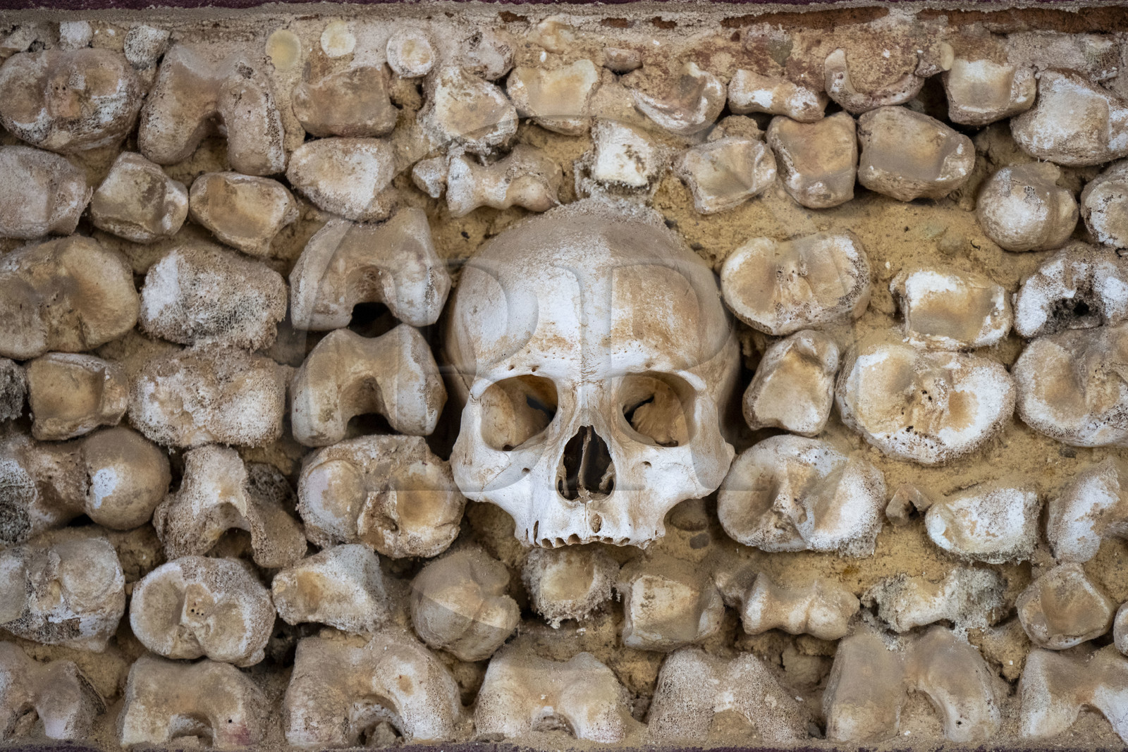 Portugal, Algarve, Faro, the old town,