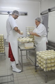 France, Côte d'Or (21), Brochon, entreprise de fromage Gaugry