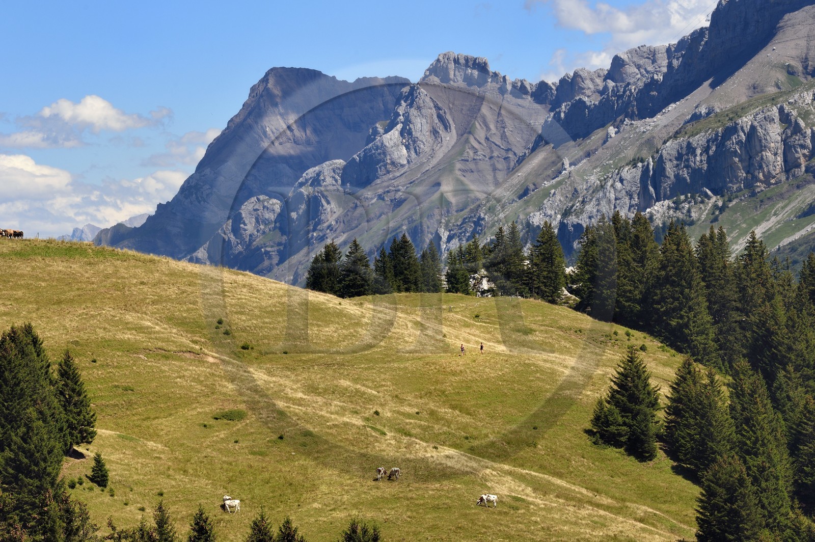 Suisse, canton de Vaud, Villars-sur-Ollon, randonnée du col de Bretaye au col de la Croix en passant par le hameau d'Ensex