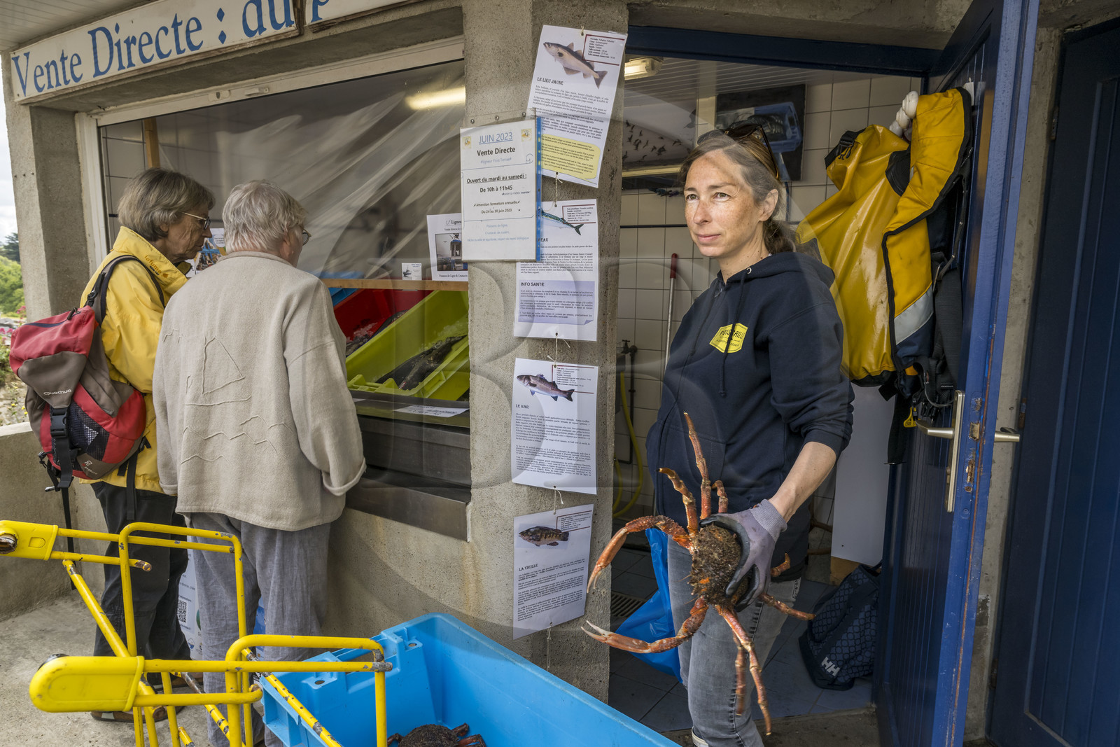 France, Finistère (29), Mer d'Iroise, Ile d'Ouessant, le bourg de Lampaul, Ondine Morin guide conférencière et pêcheur devant son étal de poissons et crustacés