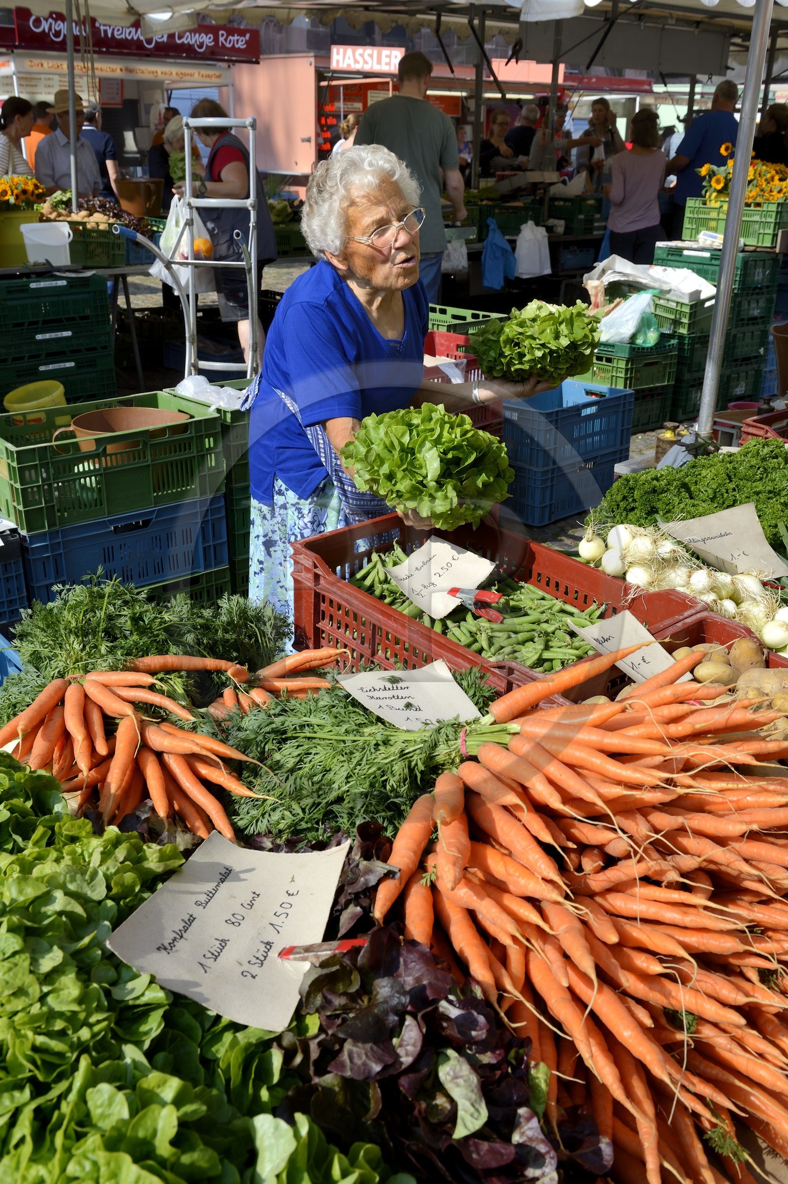 Allemagne, Bade-Wurtemberg, Fribourg en Brisgau, jour de marché sur la Munsterplatz