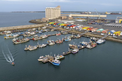 France, Charente-Maritime (17), La Rochelle, Port de pêche de Chef de Baie, le bassin des coureauleurs et le Port de commerce de La Pallice en arrière plan (vue aérienne)