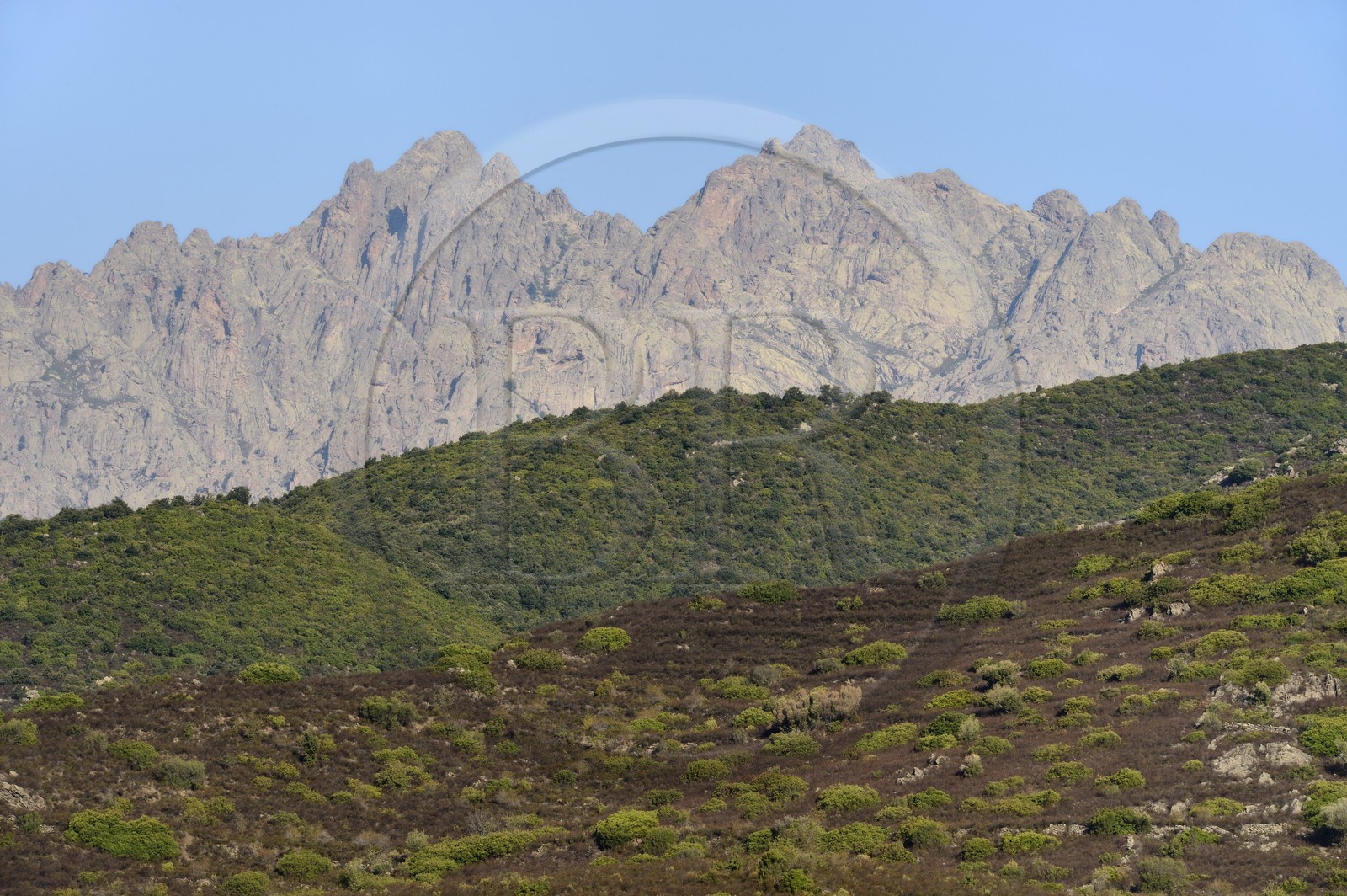 France, Haute Corse, Niolu (Niolo) region, the Monte Cinto