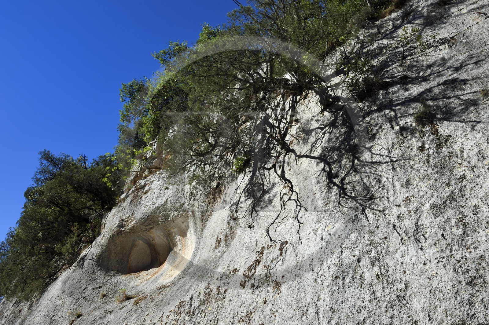 Var (83) rive gauche et Alpes-de-Haute-Provence (04) rive droite, Parc Naturel Régional du Verdon, Basses Gorges du Verdon en aval du lac de Sainte Croix, gorges de Baudinard, cavités creusées par le Verdon à l'ère glaciaire