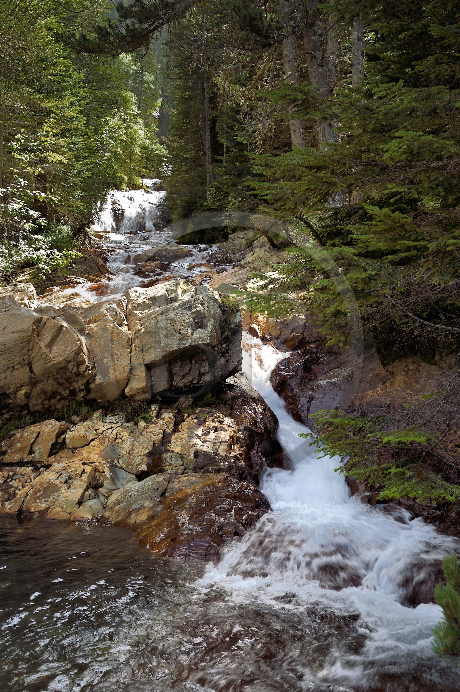 France, Hautes-Pyrénées (65), Saint-Lary-Soulan, vallée du Rioumajou, la (rivière) Neste de Rioumajou