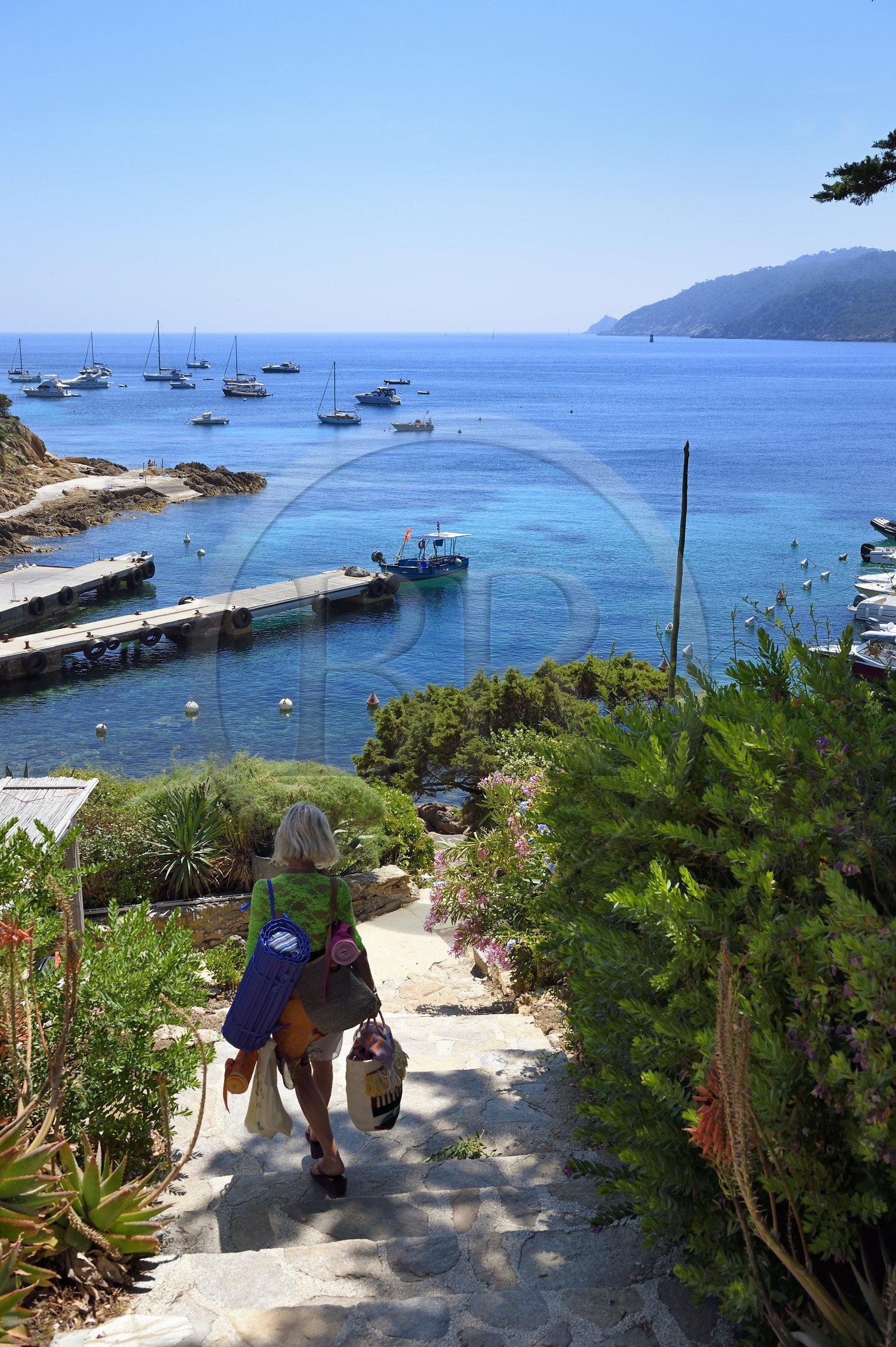 France, Var (83), Iles d'Hyères, Parc national de Port Cros, Ile du Levant, domaine naturiste d'Héliopolis, chemin et escalier de la Perspective, l'axe central du village