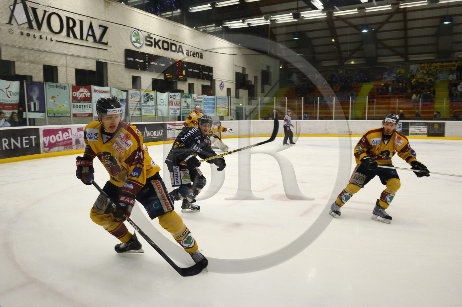 France, Haute-Savoie (74), Morzine, match de hockey sur glace du Hockey Club Morzine-Avoriaz appelé les Pingouins