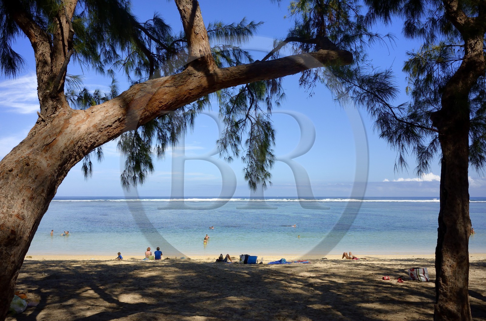 France, Ile de la Reunion, côte ouest, Saint-Gilles-Les-Bains (commune de Saint-Paul), plage de l'Ermitage bordée par les philéas