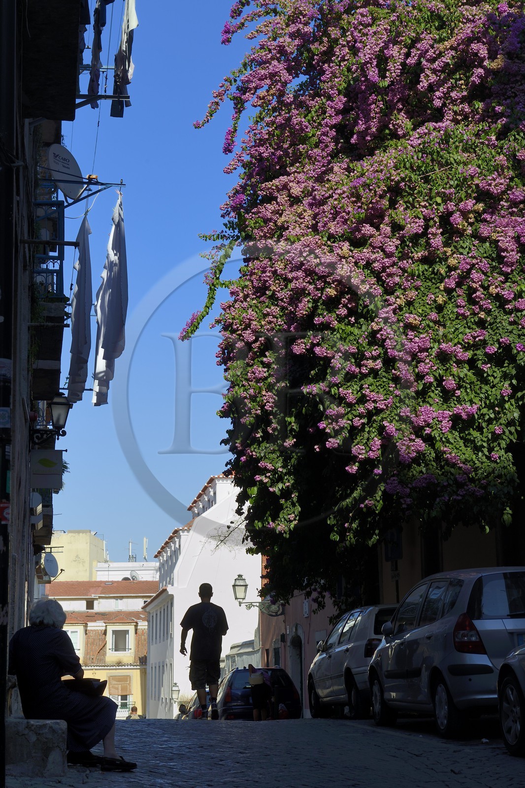 Portugal, Lisbonne, ruelle du quartier du Bairro Alto