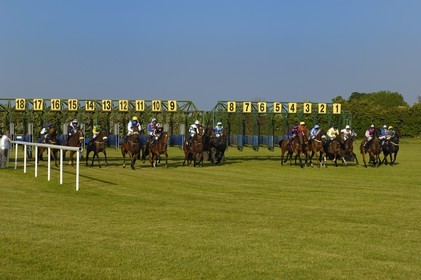 Republic of Ireland, County Meath, Ratoath, Fairyhouse racecourse, horse race start