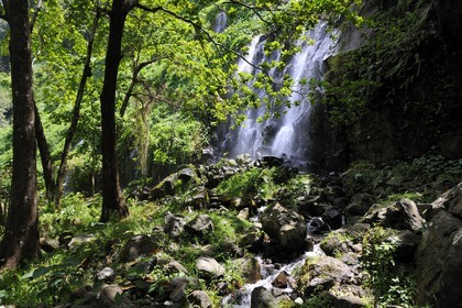 France, île de la Réunion, anse des Cascades, au sud de Piton-Sainte-Rose, classé Patrimoine Mondial de l'UNESCO