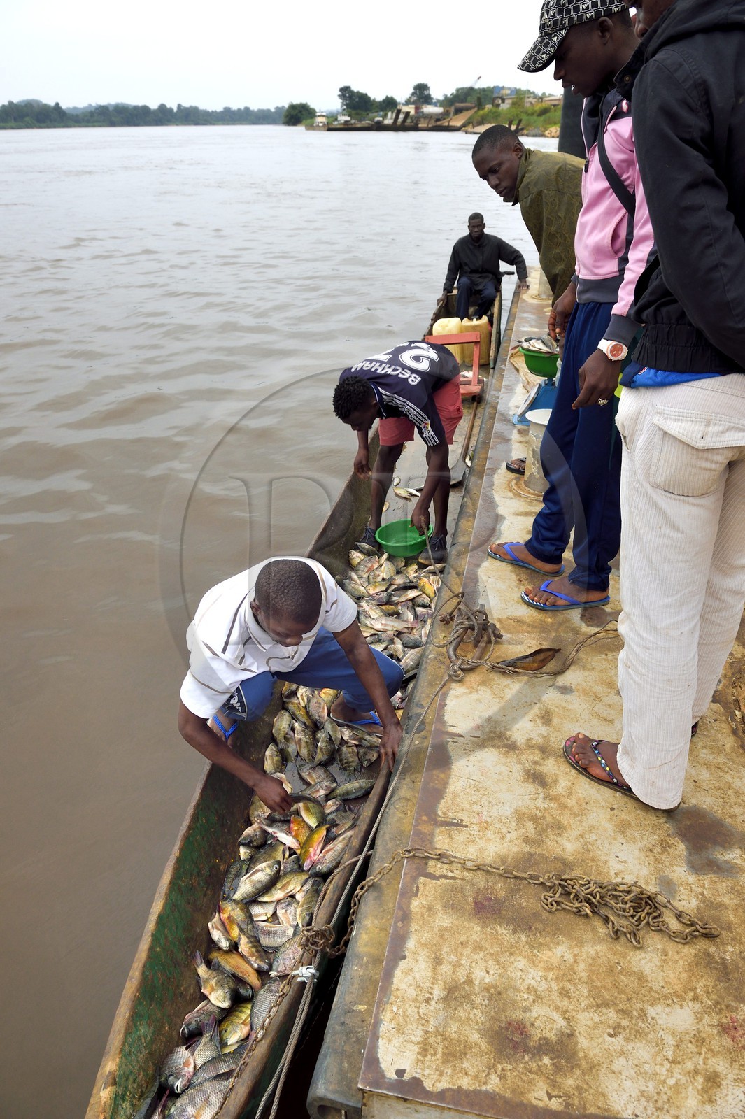 Gabon, Province du Moyen-Ogooué, le fleuve Ogooué, vente de poissons sur les pirogues au port de Lambaréné
