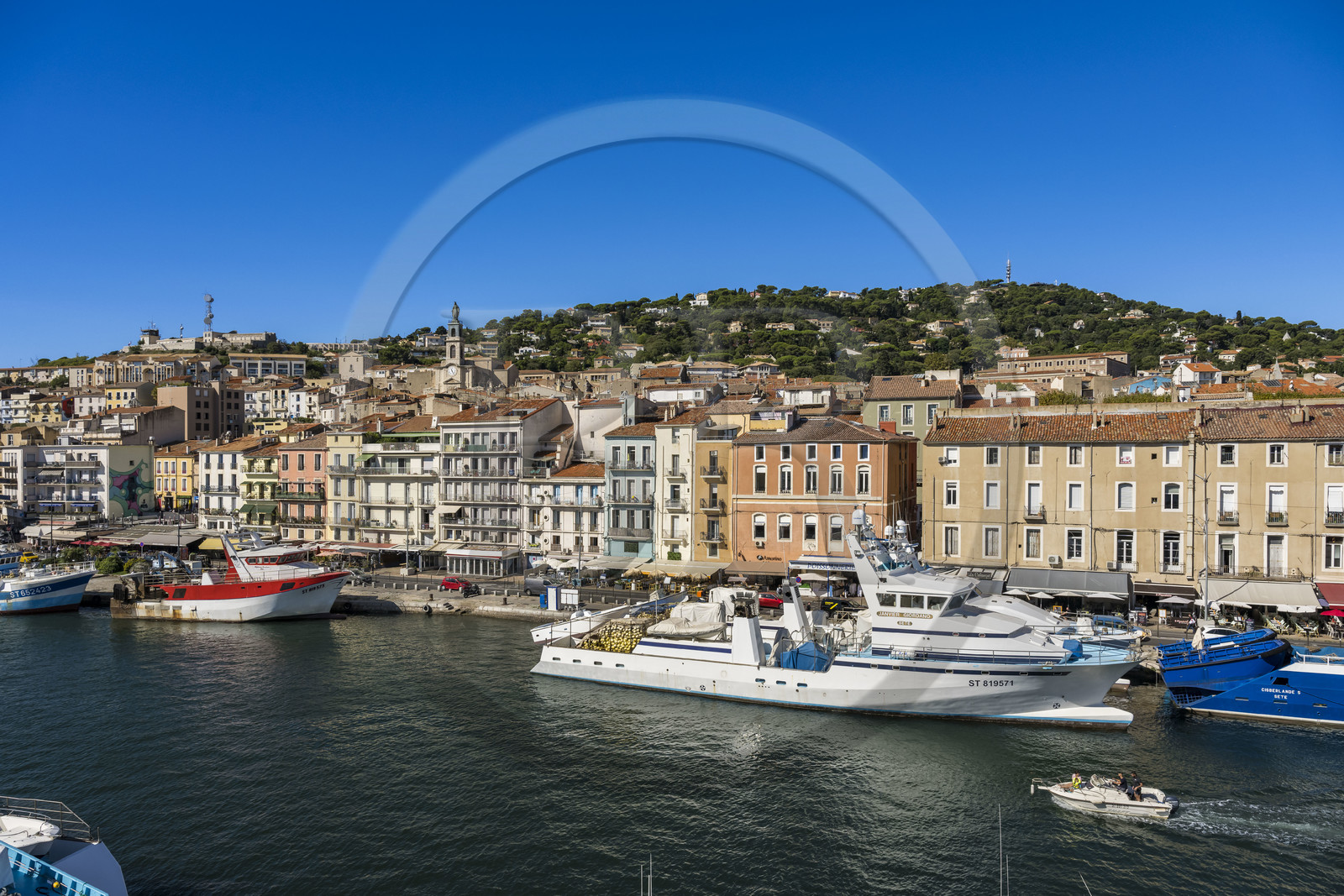France, Hérault (34), Sète, canal Royal, thoniers senneurs à quai au pied du Mont Saint-Clair et de l'église décanale saint Louis surmontée par une statue de la Vierge Marie