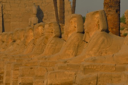 Egypt, Upper Egypt, Nile Valley, Luxor Temple listed as World Heritage by UNESCO, the Dromos