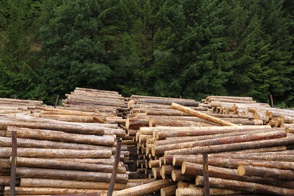 France, Moselle, Abreschviller Sciages sawmill