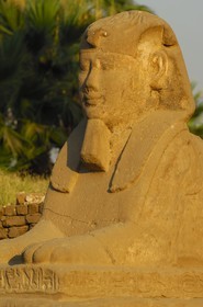 Egypt, Upper Egypt, Nile Valley, Luxor Temple listed as World Heritage by UNESCO, the Dromos